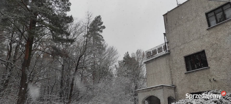 Dom na skaju Puszczy Białowieskiej Hajnówka sprzedam