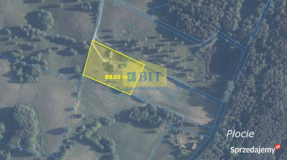 Wyjątkowa posiadłość na wzgórzu 2ha działki 281m2 sprzedam