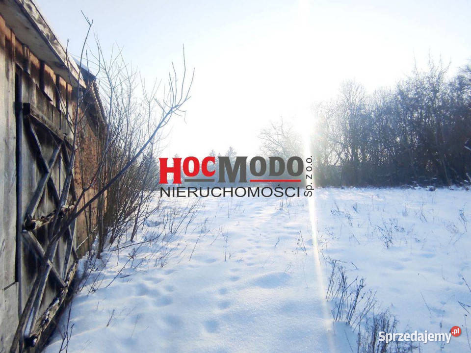 Działka 19 ha z budynkami i lasem Sprzedaż Obręb sprzedam