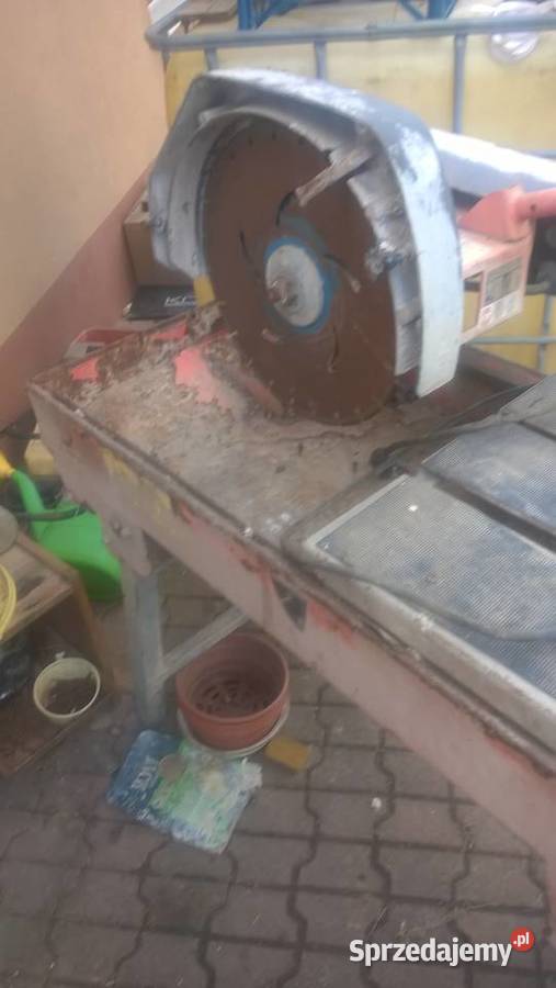 stul do ciencja kostki Pawłów