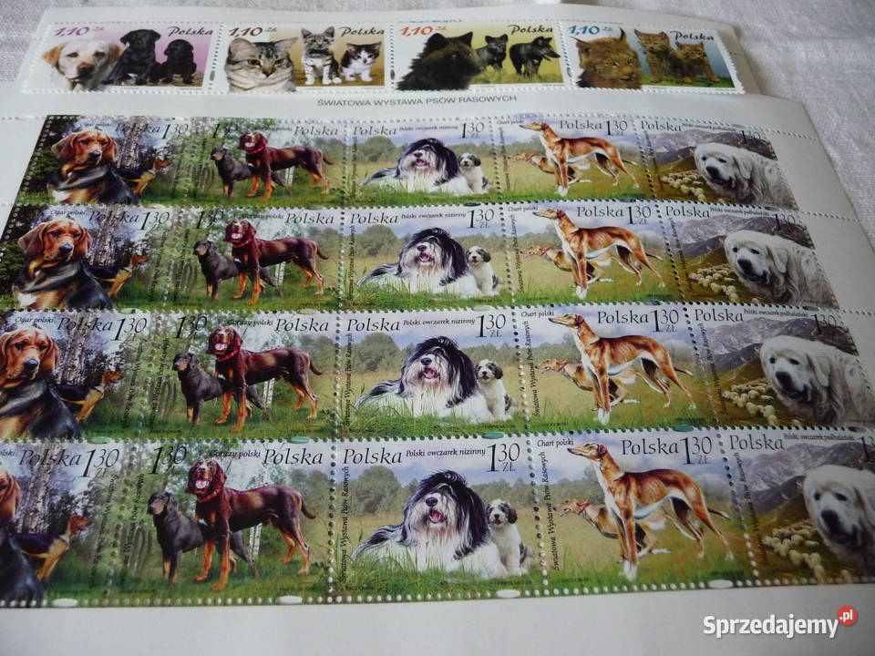 Zestaw bloczków i arkusików 2 Bukowno sprzedam