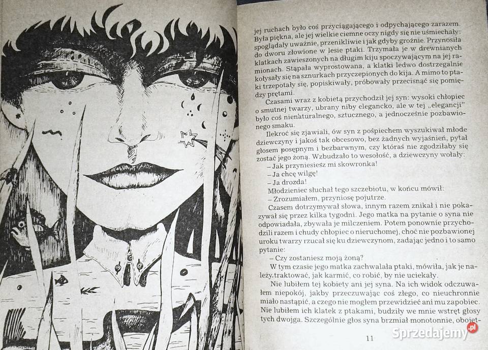 Kubuś i słowik Eugeniusz Iwanicki Chełm
