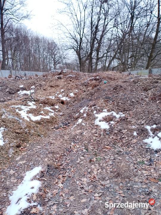 Próchnica Biomasa Zrębka Ziemia Kwaśna pod