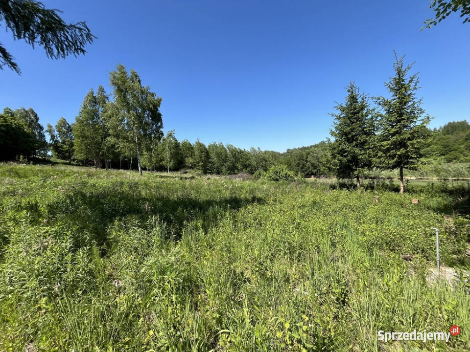 Działka 3580 m2 w Kazimierzu Dolnym 4 rynku Kazimierz Dolny