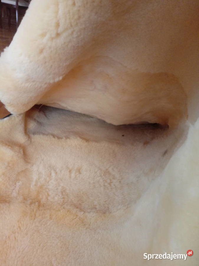 Śpiwór Naturalna Skóra Owcza ReluganPoduszka Szaflary sprzedam