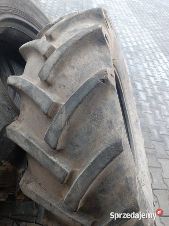 Opona 149 28 149 24 Smoryń