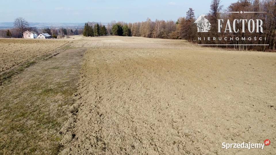 Działka budowlana 20 a na Polesiu Dominikowice