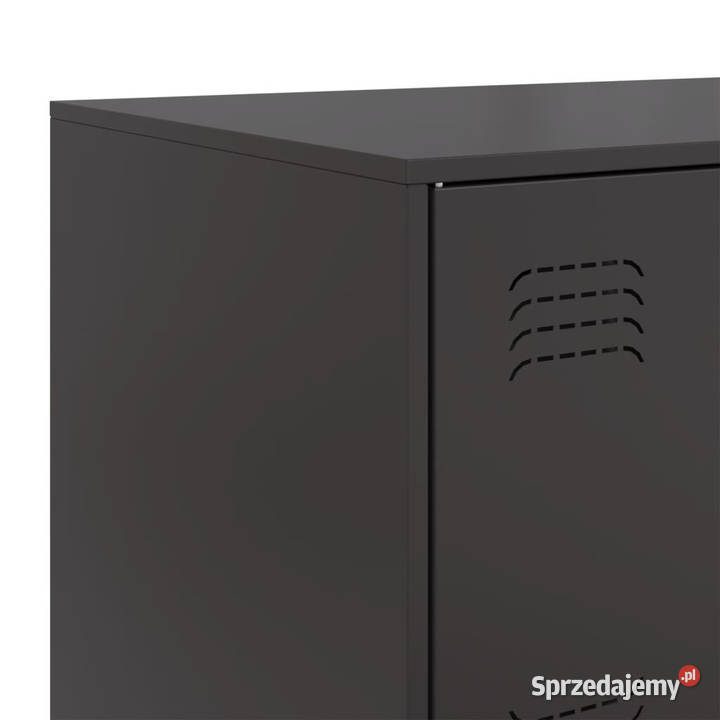 Szafka boczna czarna 67x39x73 stal WM841649 Dom i Ogród