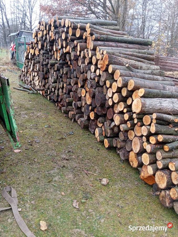 Sprzedam drzewo olchabrzoza Żyznów