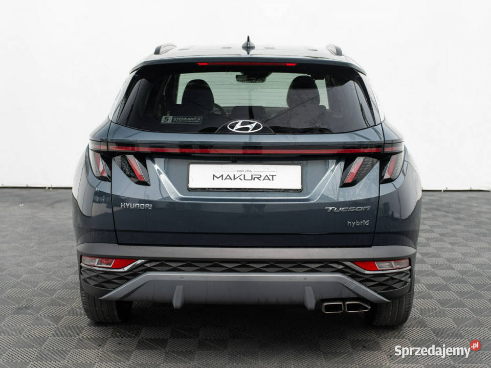 Hyundai Tucson WJ8640M16 TGDi HEV Executive 2WD pomorskie Gdańsk
