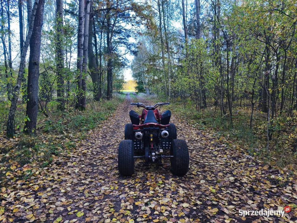 Quad 250 manual z hakiem mazowieckie Baranowo