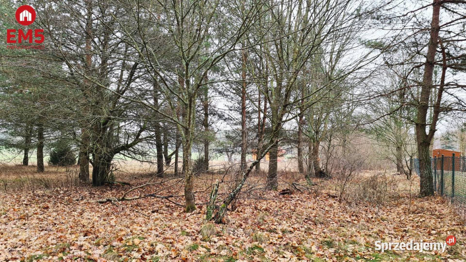 Działka Harsz 2366m2 1911m2 Pieńki