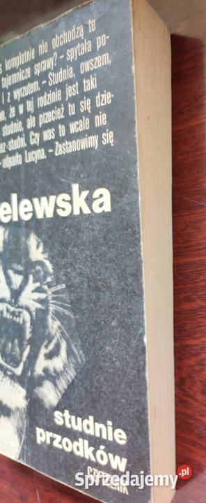 Studnie przodków Joanna Chmielewska świętokrzyskie Kielce