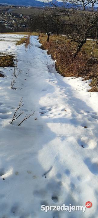 Sprzedam działkę sprzedam