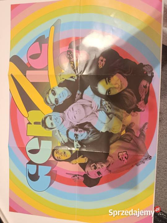 Płyta genziedzięki Bydgoszcz