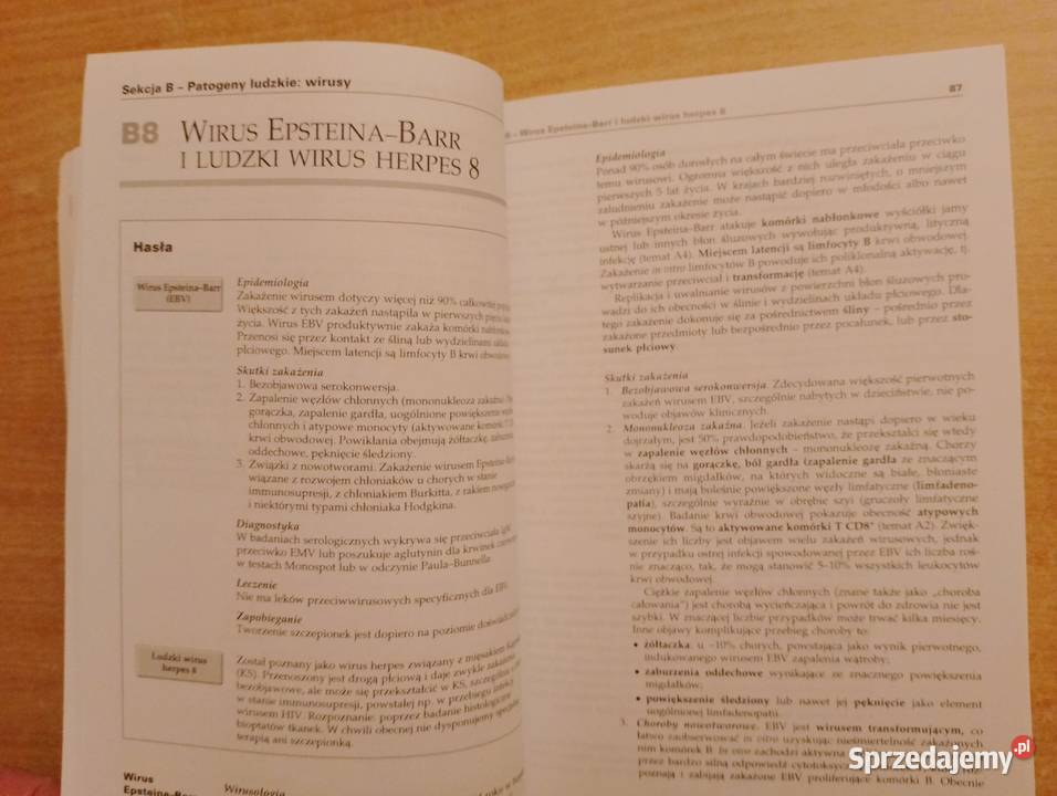 PODRĘCZNIK Mikrobiologia medyczna Krótkie Podręczniki sprzedam