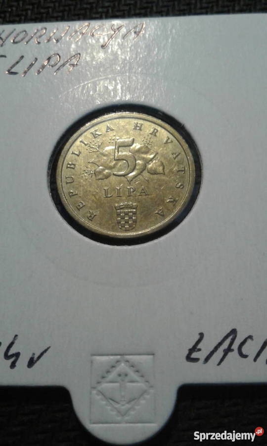 5 Lipa Chorwacja 2014 r opis łaciński Konin sprzedam