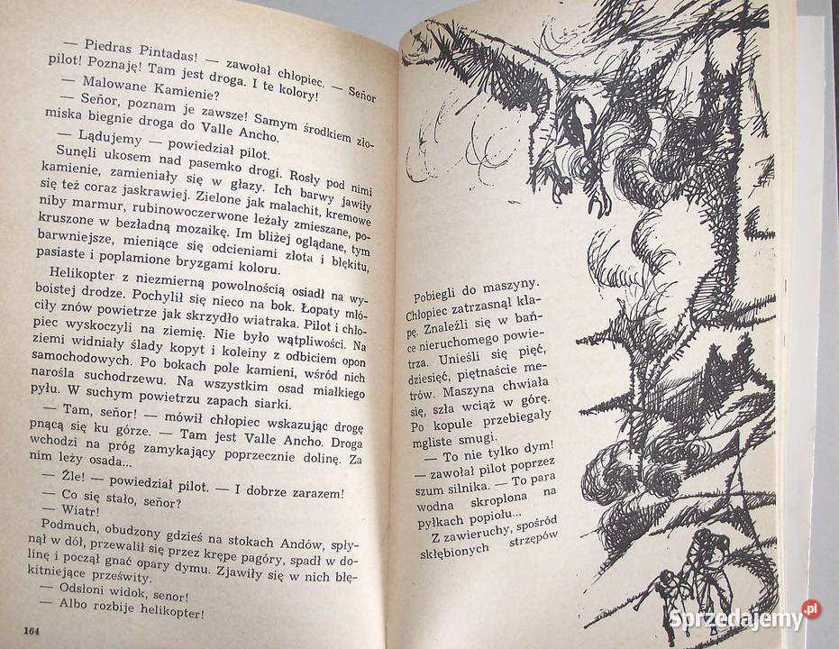 L Kuczyński Alarm pod Andami Proza i poezja Książki i Podręczniki Warszawa sprzedam