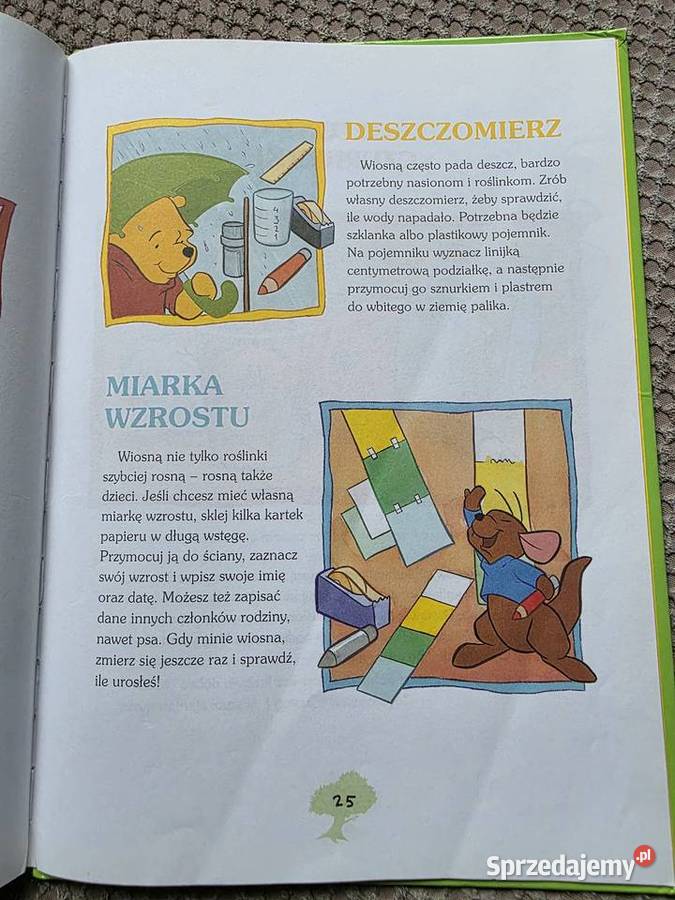 Przygody Kubusia Puchatka WIOSNA Rok wydania 2006 Kraków