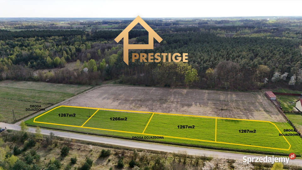 Działki budowlane lesieNowy Świat gmina 36m wielkopolskie Nowy Świat