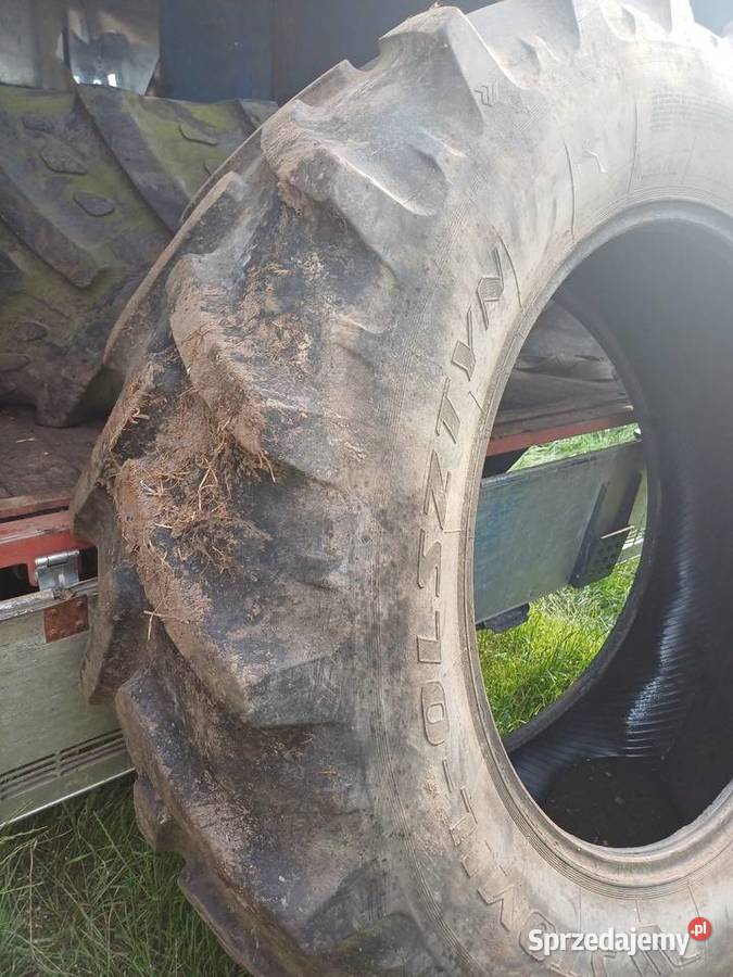 0pony radialne stomil olsztyn Pozostałe Wieleń