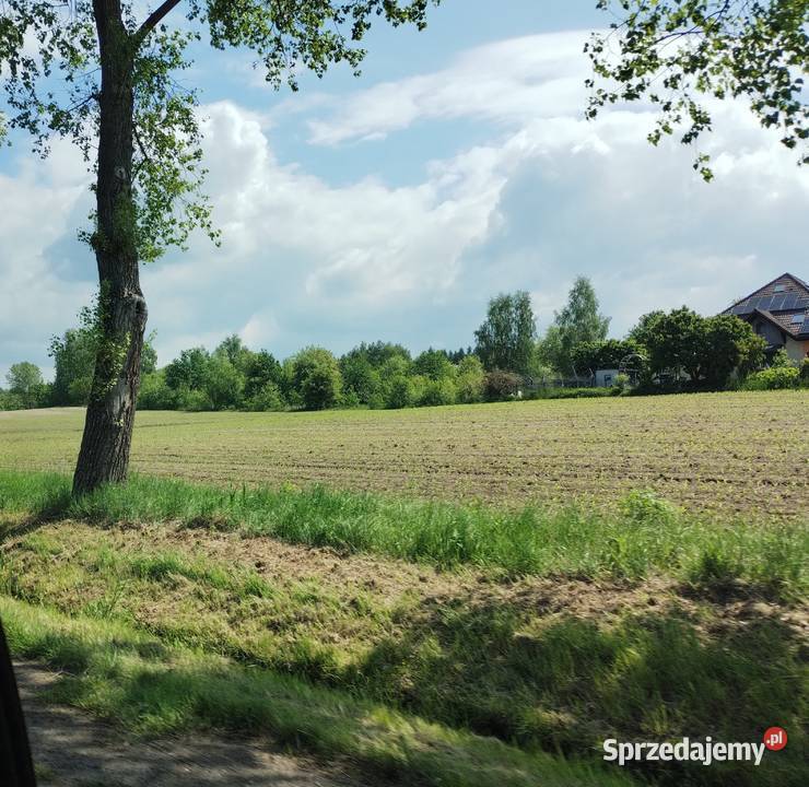 Teren na dużą inwestycję bez pośredników obrzeża śląskie Racibórz