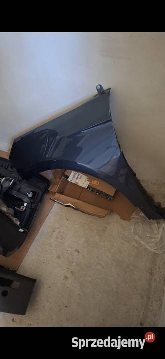 Części Ford Edge 2019 błotnik poduszka zbiornik podkarpackie Tuszyma