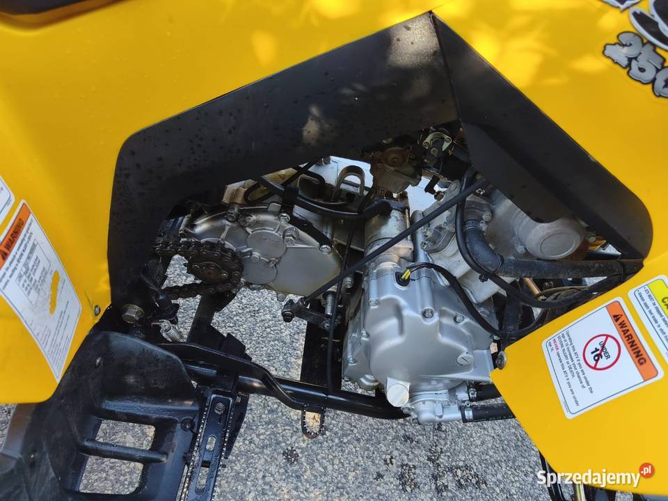 Can AM ds 250 2009r śląskie Kłobuck