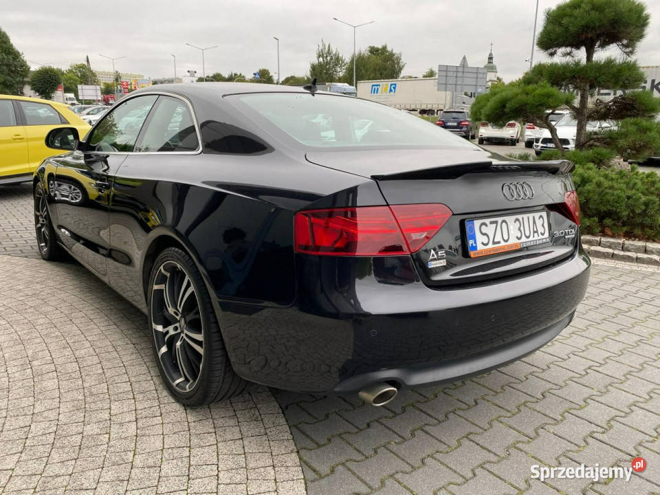 Audi A5 led podgrz fot xenon skóra tempomat Żory