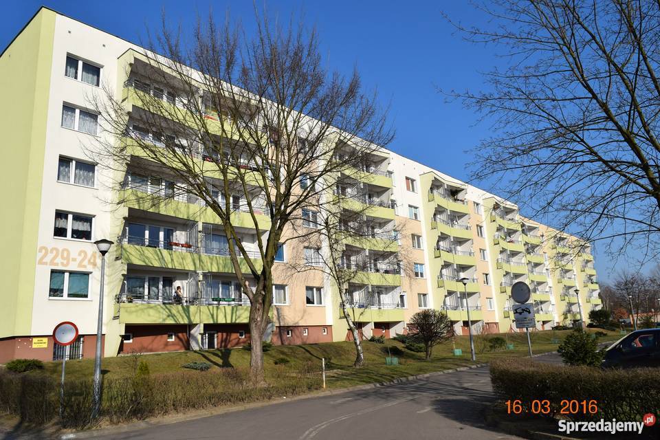 Mieszkanie 3 pokoje bez pośrednika Poznań Poznań