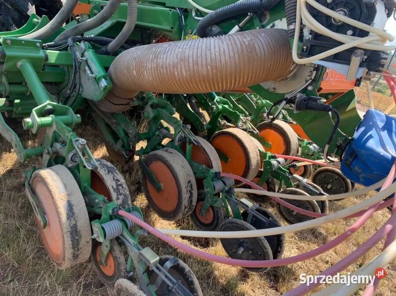 Siewnik do Kukurydzy Amazone EDX 60002c Trzydnik Duży