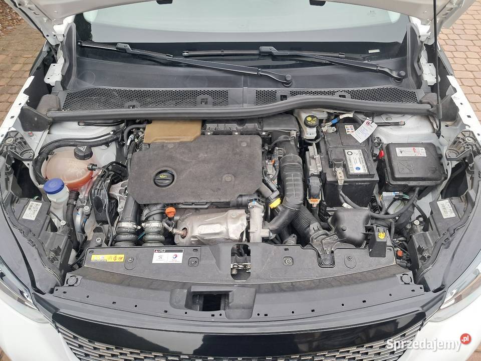 Peugeot 2008 wielkopolskie Ostrów Wielkopolski