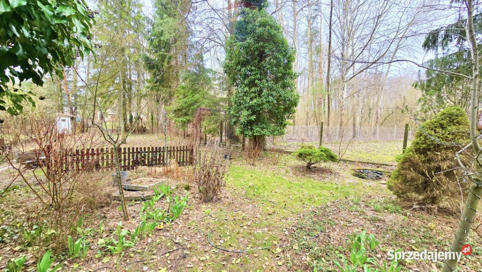 Działka zabudowana Zalesie Górne Kwiat Paproci