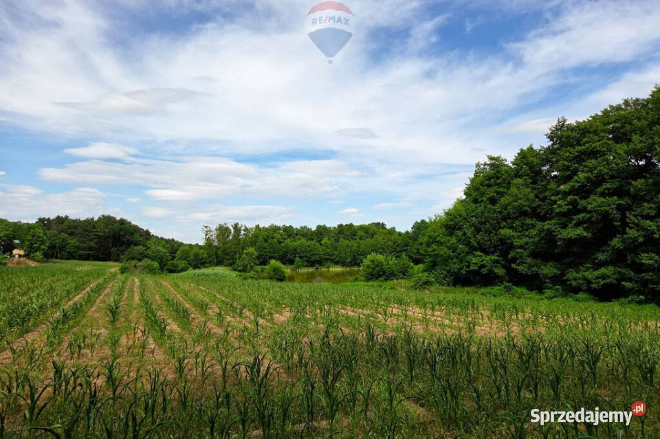 Działka jeziorze Pniew Buszewo sprzedam