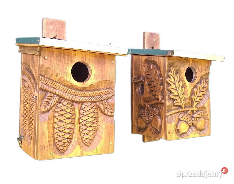 domek wiewiórki lubelskie