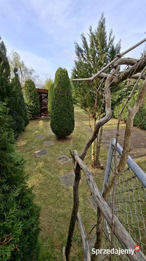 Działka rekreacyjna