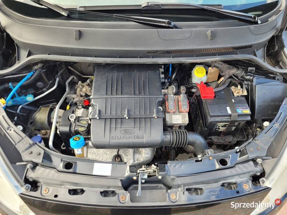 Ford Ka Titanium 12 Klima 144 Chybie