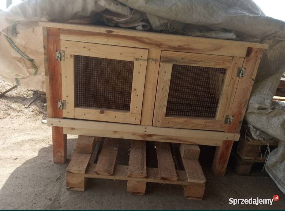 Króliki królik samiec samica klatka transporter Leśna Podlaska