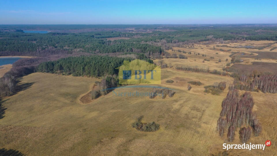 Działka 20 ha z dostępem do J Wilczkowo