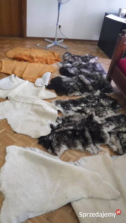 Skóra barania skóry z barana farbowane nowe Pozostałe mazowieckie Otwock