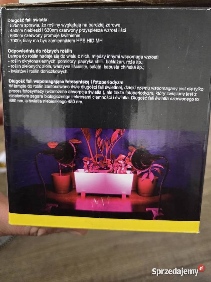 3 lampy żarówki XTECH 100W 150 LED E27 do dolnośląskie Wrocław