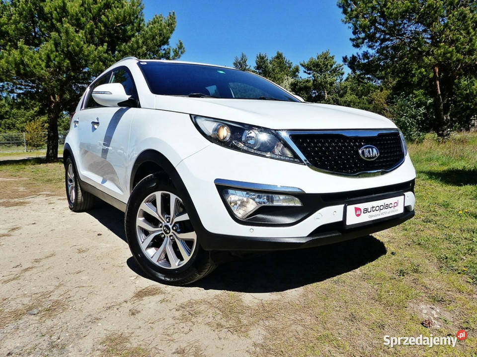 Kia Sportage 17