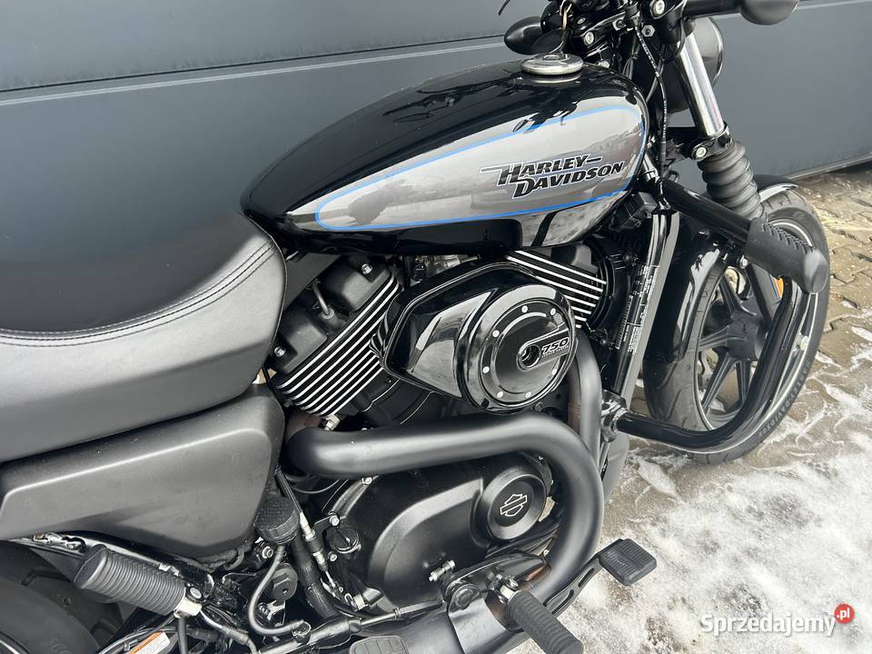 Harley Davidson Street wielkopolskie Podrzewie