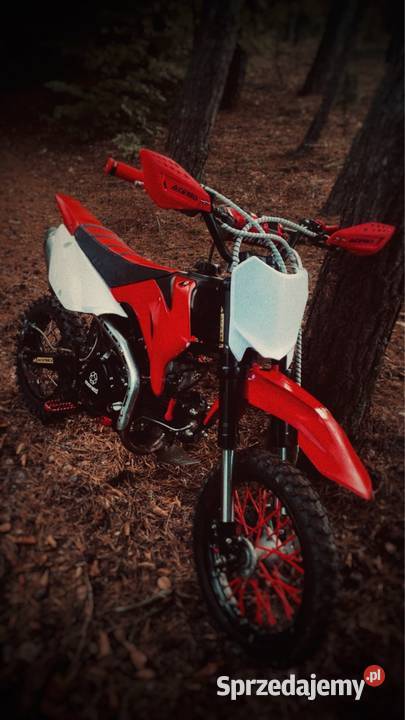 Mrf 170 Moretti czerwony Łuszczacz