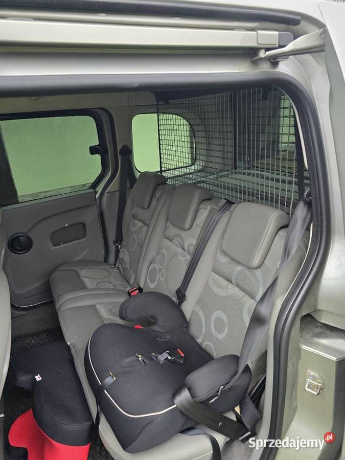 Renault Kangoo 16 benzyna 2009r Nowa Sarzyna