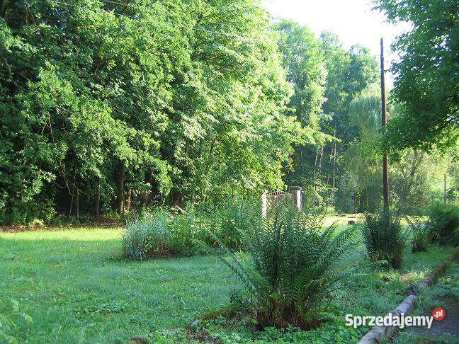 WILLA przedwojenna Polanica-Zdrój