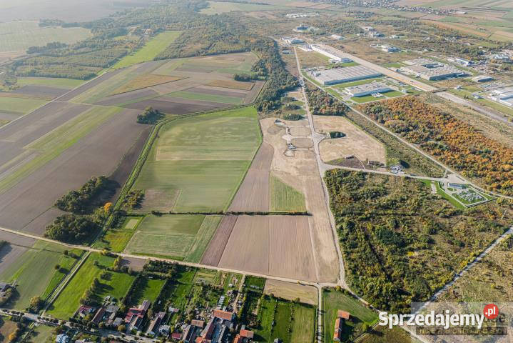 Działka Skarbimierz 72617m2 sprzedam