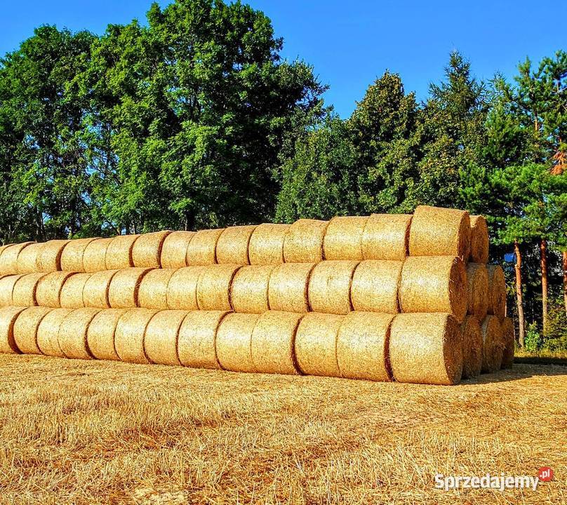 Słoma 2025 lubelskie Kajetanów