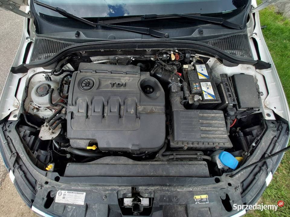 Skoda octavia III Zbuczyn
