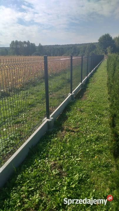 Kompleksowe wykonanie ogrodzeń podkarpackie Dębowiec
